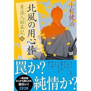 『北風の用心棒 素浪人始末記(三)』