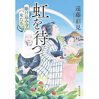 虹を待つ 駆け込み寺の女たち (集英社文庫)