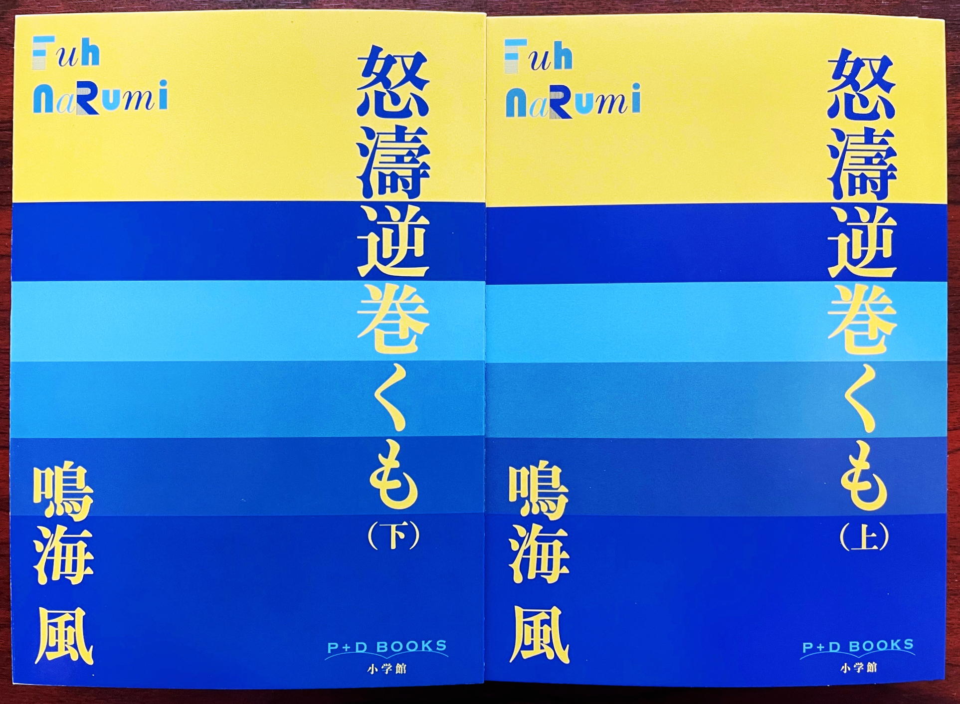 怒濤逆巻くも（上）（下）（鳴海風・小学館　P+D BOOKS）